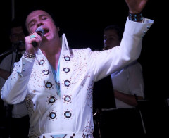 Elvis Celebration In Concert